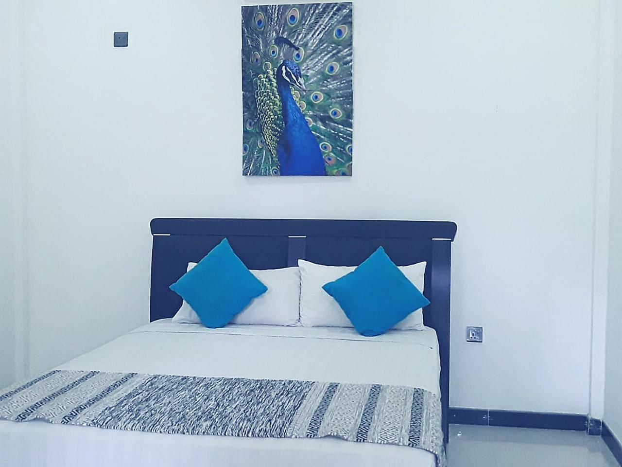 My Home Guest Polonnaruwa Ngoại thất bức ảnh
