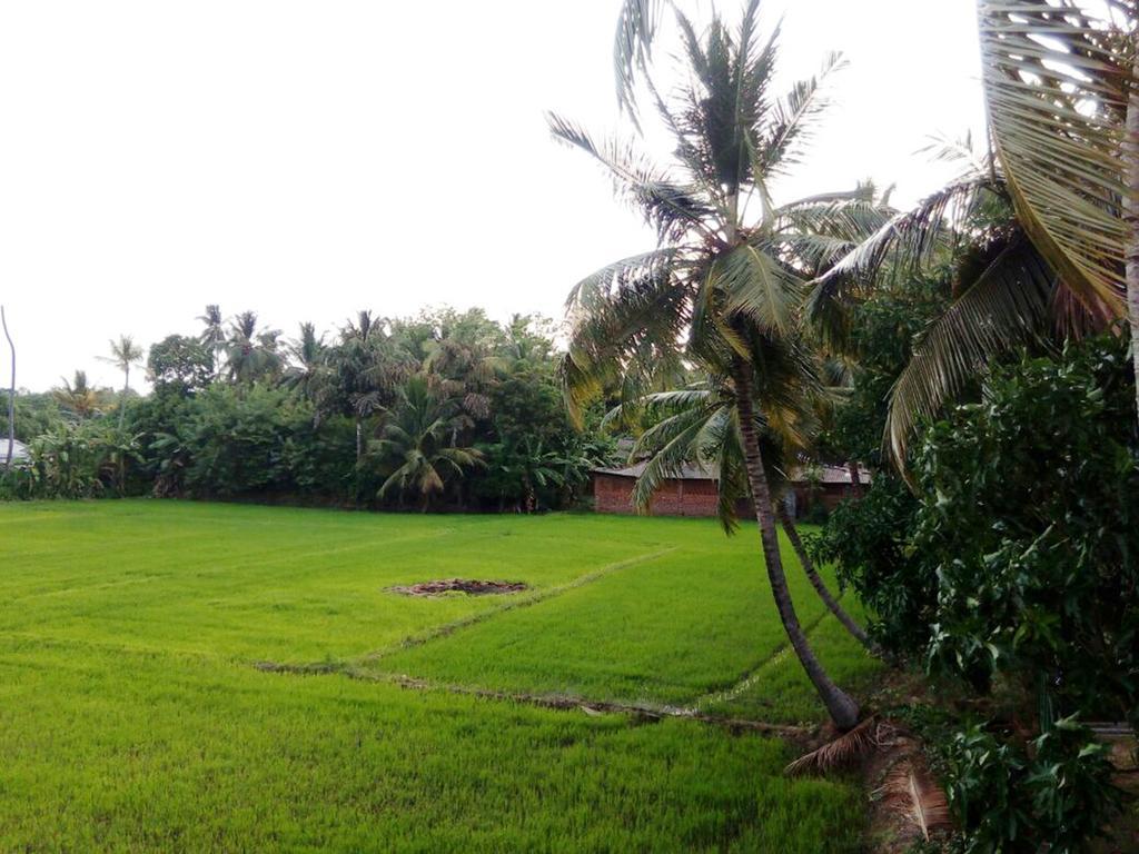 My Home Guest Polonnaruwa Ngoại thất bức ảnh
