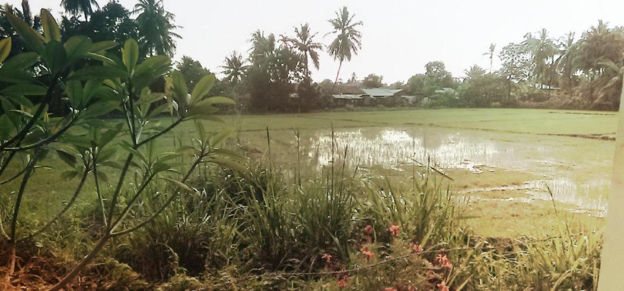 My Home Guest Polonnaruwa Ngoại thất bức ảnh