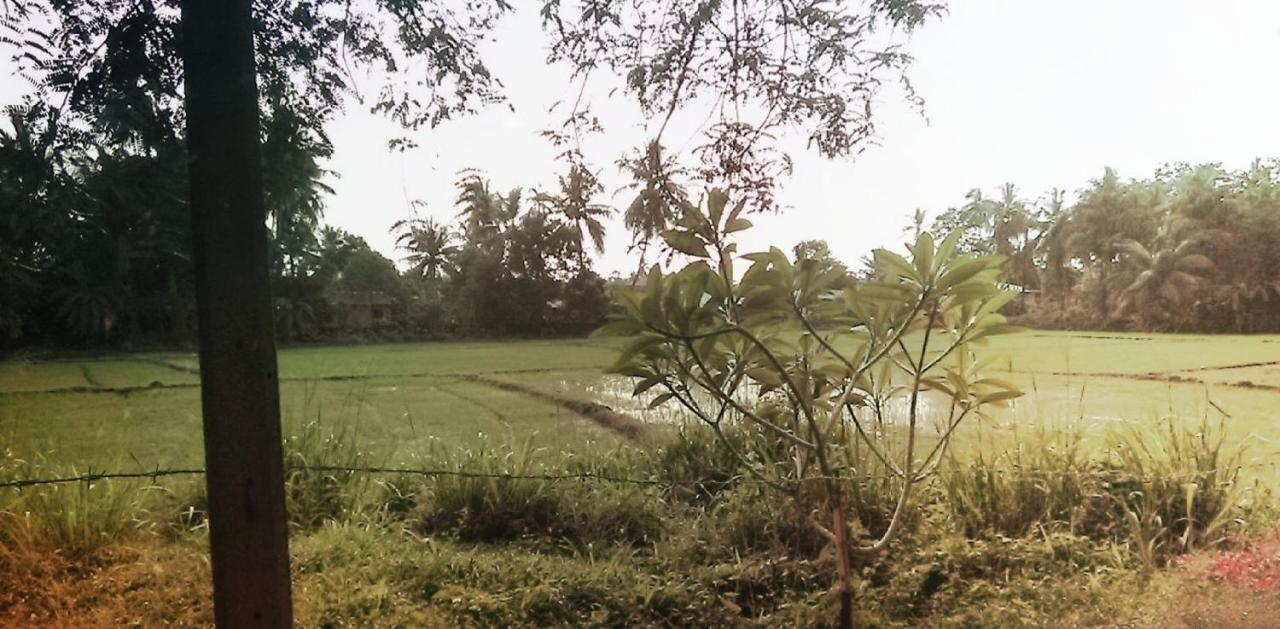 My Home Guest Polonnaruwa Ngoại thất bức ảnh