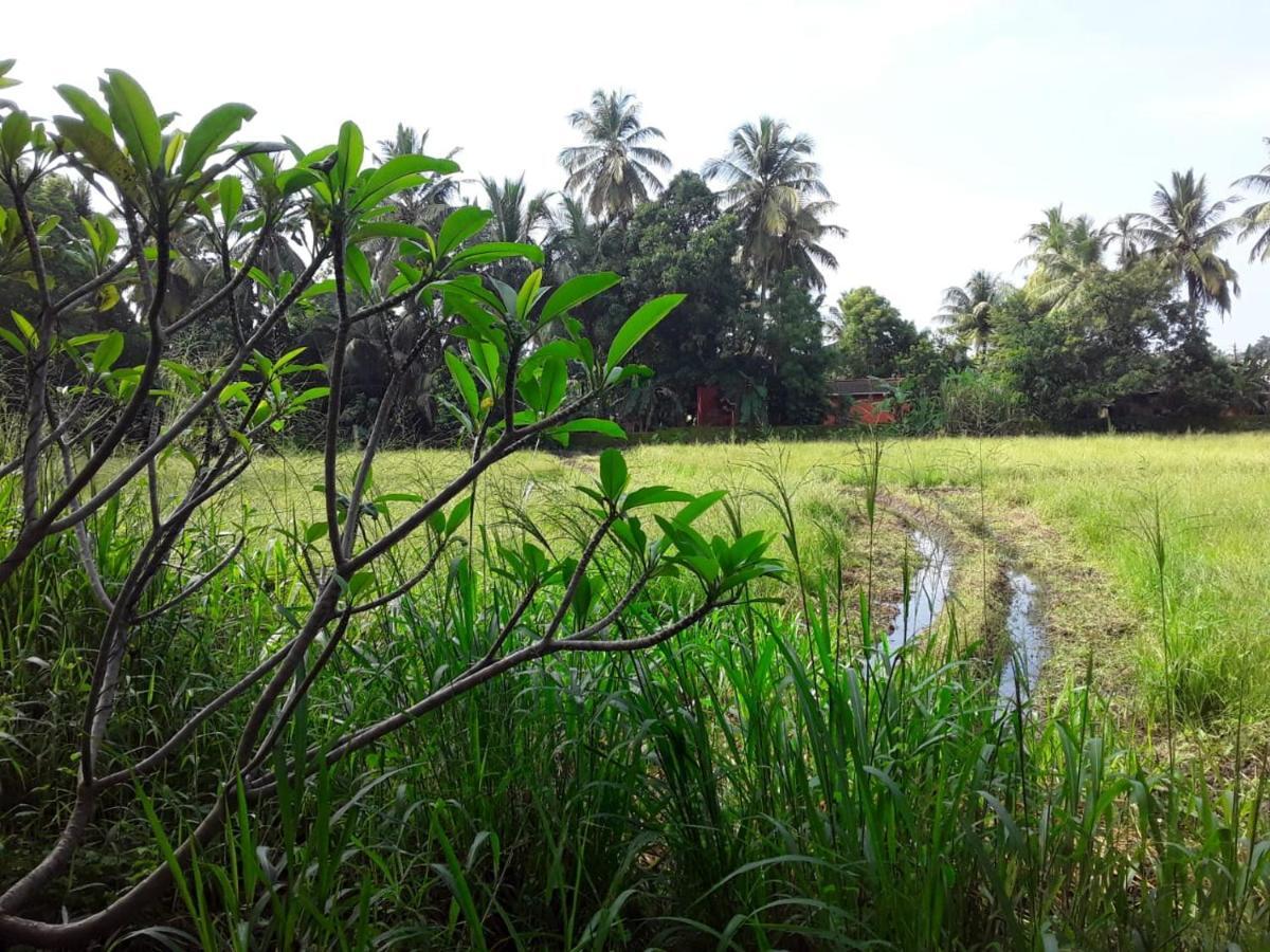 My Home Guest Polonnaruwa Ngoại thất bức ảnh